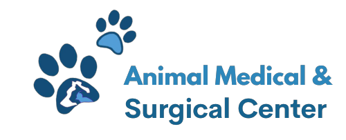 www.animalmedsurg.com